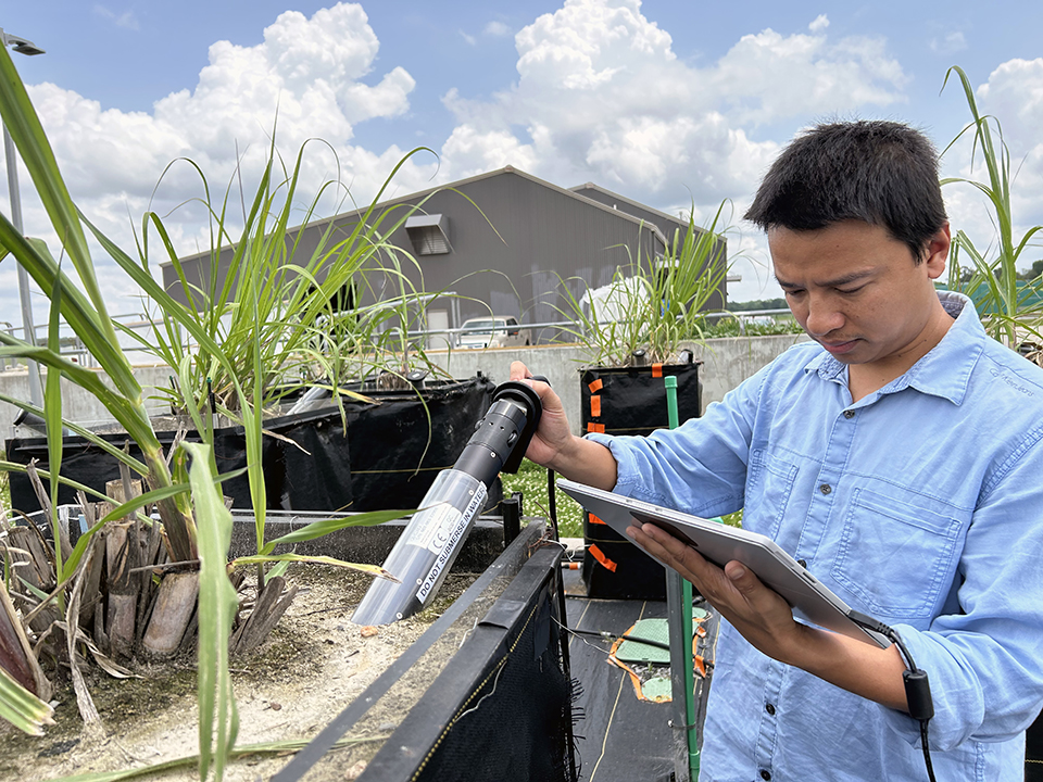 Harry L. Laws & Company: Donation fuels future of sugarcane research